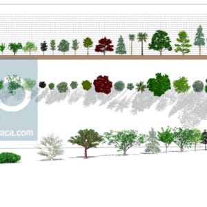 Familles d'Arbres REVIT - végétation 3D